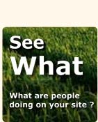Visualizza Cosa, Cosa fanno le persone sul tuo sito?